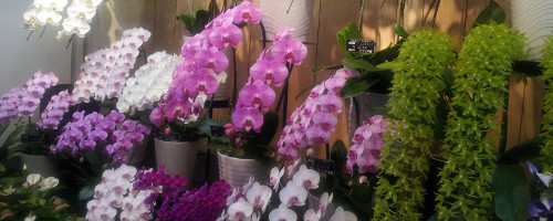 オーダーメイドだから新鮮なお花で作れる